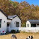 애견의 집 이미지