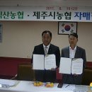 자매특산
