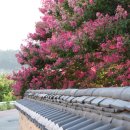 가실마을 이미지