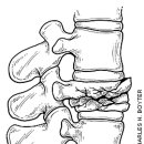 한창한방병원 이미지