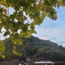 합천 문보트 레저 이미지