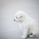 다르다면 이미지