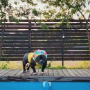 도화별장 이미지