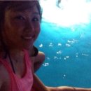 PARTY WAVE(파티웨이브) 이미지