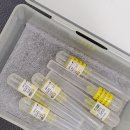 올리브피부과의원 이미지