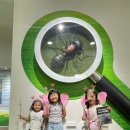 백스비어 강원인제점 | [강원도 인제 여행] 아이와 가볼만한곳 추천! 입장료 무료인 '인제곤충바이오센터'