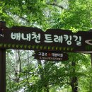 7월 첫주 산행안내(양산 배내천 트레킹 길) 이미지