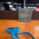 골드독 | [대형견 동반 숙소] 홍천 소노펫 클럽앤리조트 골드 파크뷰 객실 띵킹독 솔직 후기