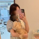 꼬망모르 이미지