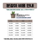 부천 출장 분갈이 내돈내산 후기 [풀애]