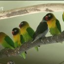 모란농장 이미지