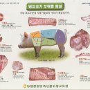 포토당 이미지
