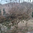 이팝농장 이미지