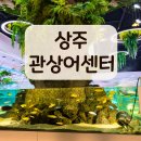 다올비즈니스센터앞 | 상주 관상어센터(내수면 관상어 비즈니스센터) 아이와 가볼만한곳 주차/입장료/편의시설 팁!