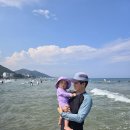 이시안첫해수욕 이미지
