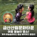무궁카정비타운 | [충남 금산] 금산산림문화타운 여름 물놀이 명소 계곡·하늘슬라이드·평상 예약까지 총정리