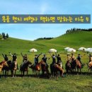 씨티투어여행사 이미지