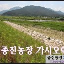 종진농장 이미지