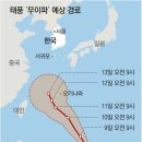 그냥 심심해서요. (16921) 태풍 ‘무이파’ 북상 이미지