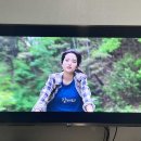 수안보스파호텔 이미지