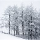 성철목장 이미지