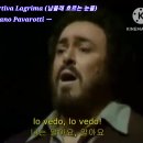 [Video]도니제티 오페라 "사랑의 묘약 "중 ＜남몰래 흐르는 눈물＞ ㅡ Luciano Pavarotti ㅡ 이미지