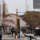 맑을아의원 네이버블로그