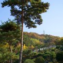 카페스토리(cafe story) 이미지