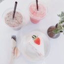 피오니 이미지