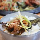 수리산두꺼비 이미지