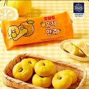 삼춘이간다 이미지