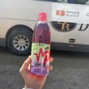 [평창] 대관령 삼양라운드힐