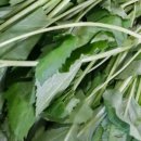 대성야채,과일 이미지