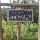 예산군 버스투어 이미지