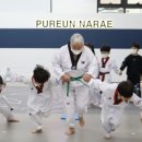 푸른나래 태권도 교육관 이미지