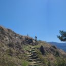 상도일주로가로수 | [걷기] 지리산둘레길 3구간 (인월~금계)