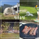 울산 애견동반 캠핑장 할튼호텔 부산근교 오토캠핑 천연잔디 운동장 단독캠핑 사이트 추천