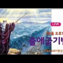 [화요영성대학] “출애굽기반3” (화, 오후1:00) 출2:11-25 이통상목사 24/11/26 이미지