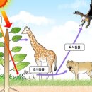 빛과열에너지