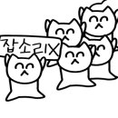 부킹더베이 이미지