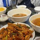 축구보는닭 이미지