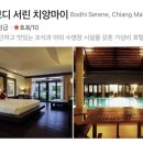 서린 | 태국 치앙마이 올드타운 구시가지_보디서린 호텔 후기