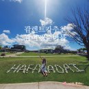 구암동135 | 괌렌트카 추천 예약 비용 괌여행 준비물 가볼만한곳 여행코스