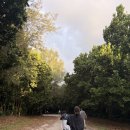 한곡조 | 클럽메드 이시가키 카비라 이용후기-(251215~18) 첫째날 part 3