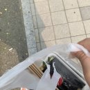 애플꼬마김밥중동역점 이미지