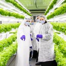 스마트교역 이미지