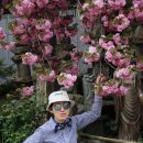 정약용의 남도 유배길(B코스) 이미지