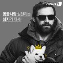 할리우드펫 이미지