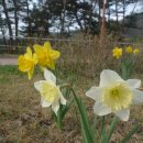 장곡주차장(장승공원) 이미지