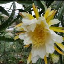 해천농장 이미지